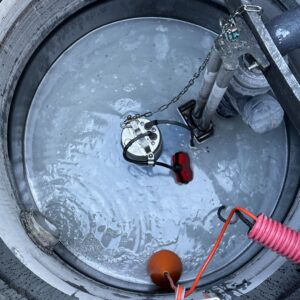 IMG_1272 2-e952bf31 (1)